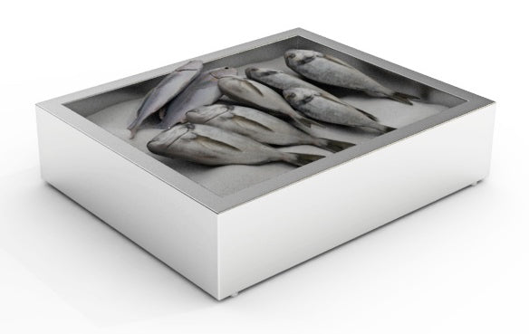 CombiSteel CRUSHED ICE BIN 2/1 GN