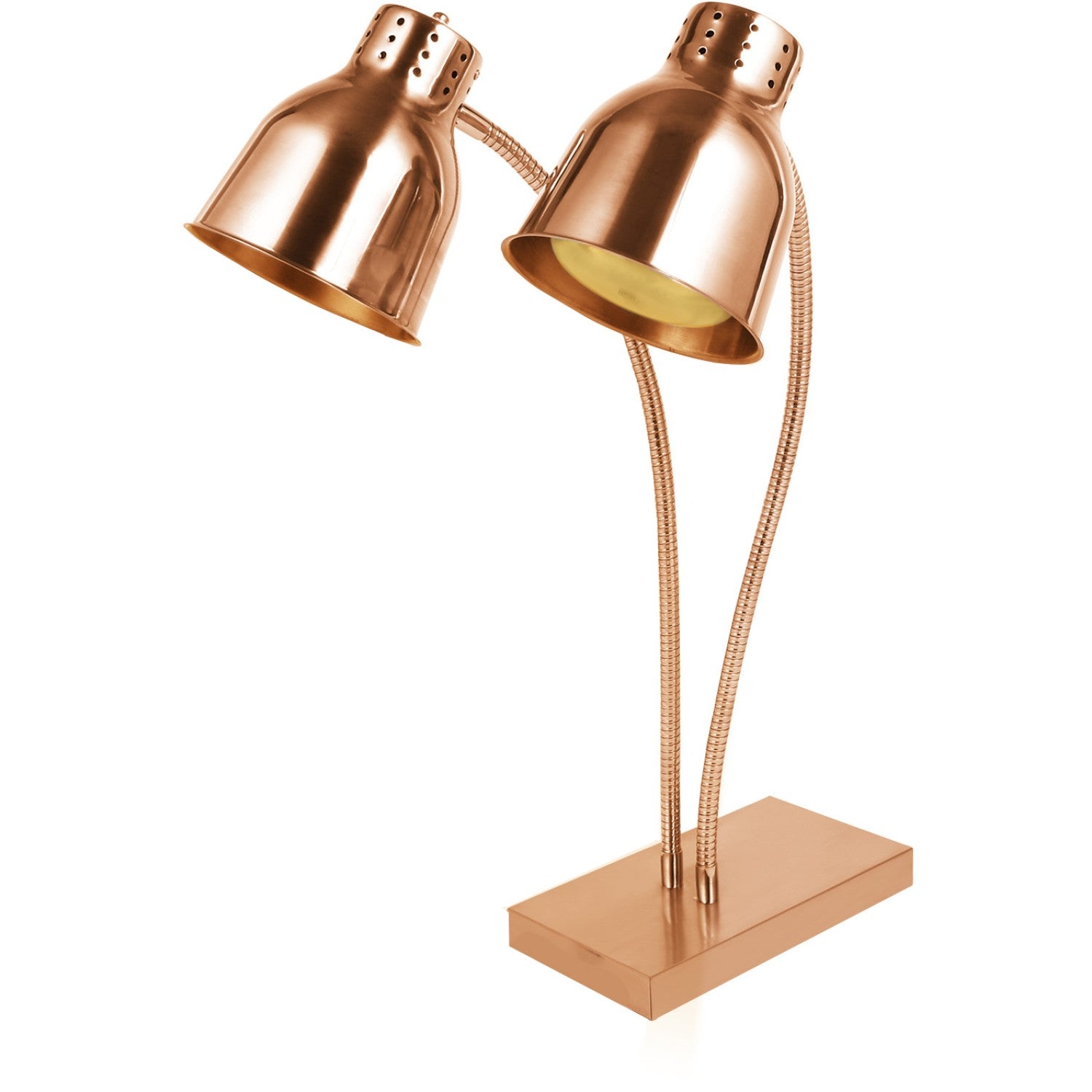 Commercial Tabletop Food Warmer 2 Heating Lamp 250W Gold EWL02G2