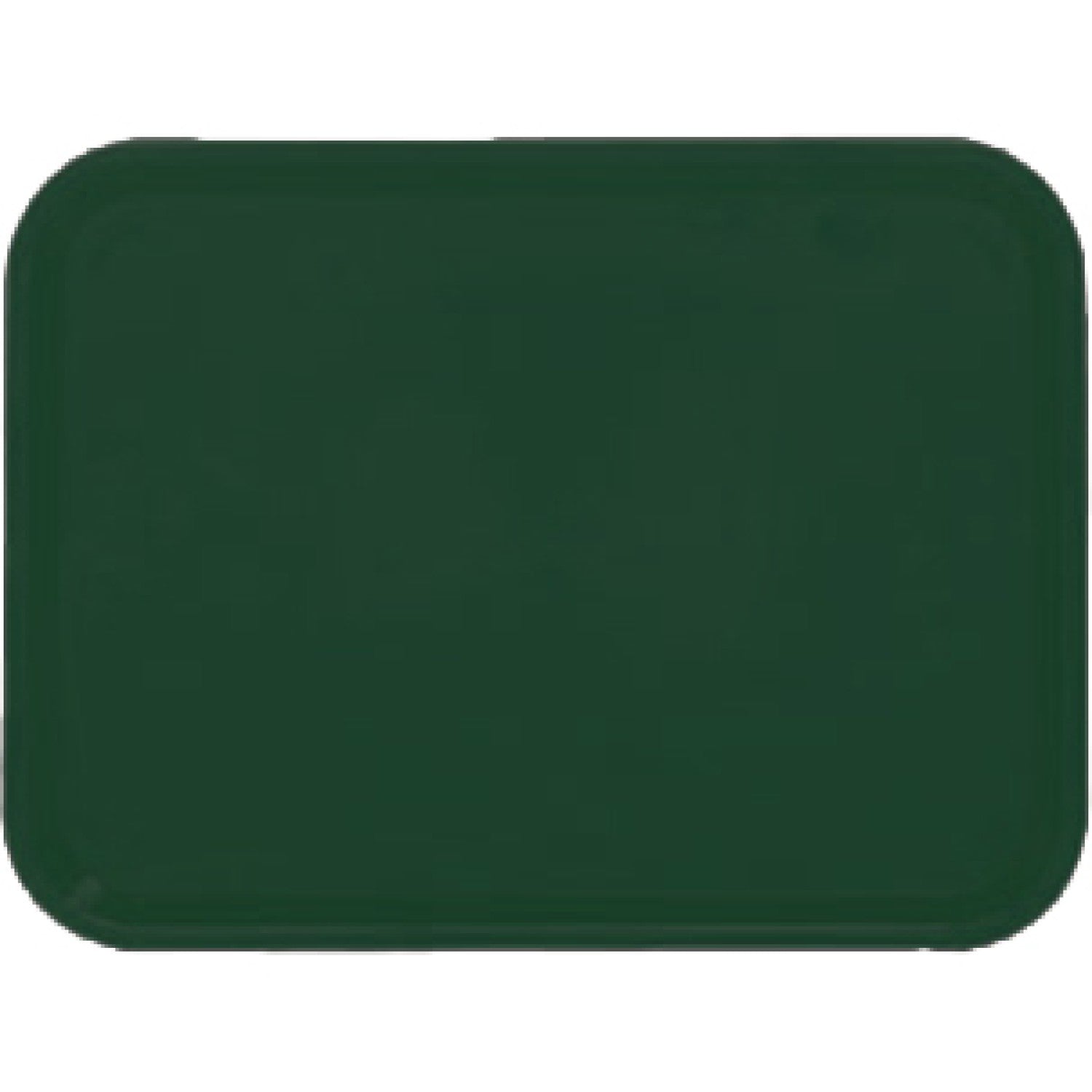 Fast Food Tray Green ABS Plastic 425x310x19mm GZFH736